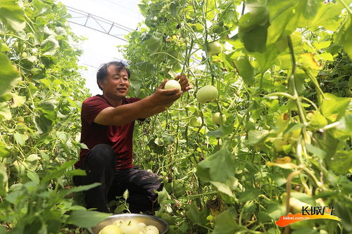 唐山丰润 农旅融合助力乡村振兴